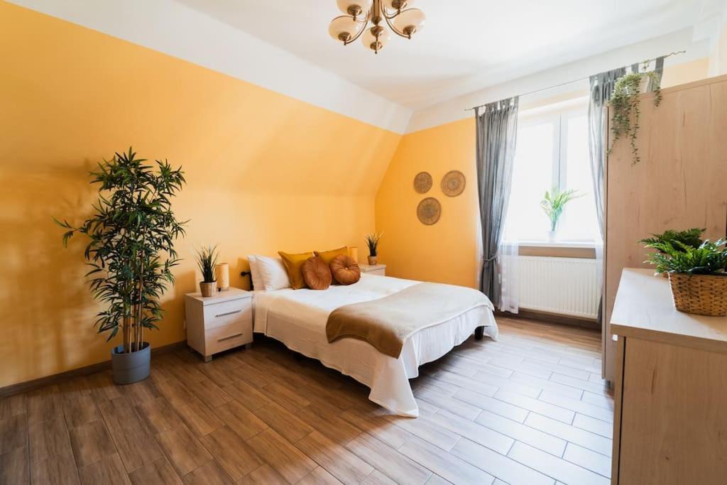 Market Square - Street Rynek 24 -2 Rooms Vratislav Exteriér fotografie