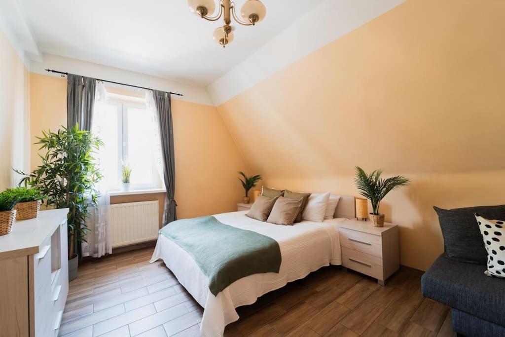 Market Square - Street Rynek 24 -2 Rooms Vratislav Exteriér fotografie