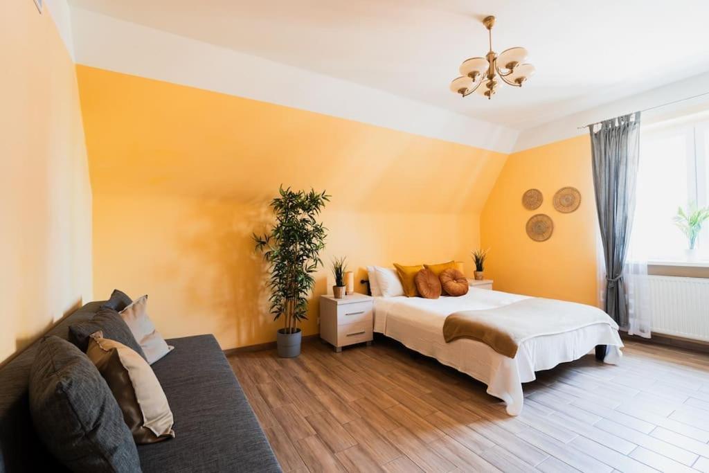 Market Square - Street Rynek 24 -2 Rooms Vratislav Exteriér fotografie