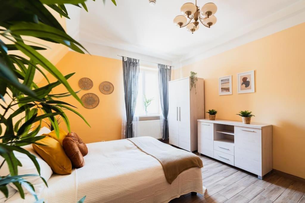 Market Square - Street Rynek 24 -2 Rooms Vratislav Exteriér fotografie